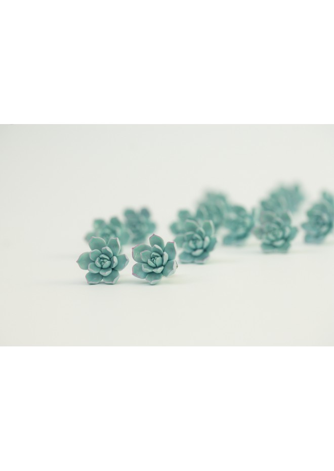 Blue Succulent Earrings – Handmade Polymer Clay Studs & Clip-ons