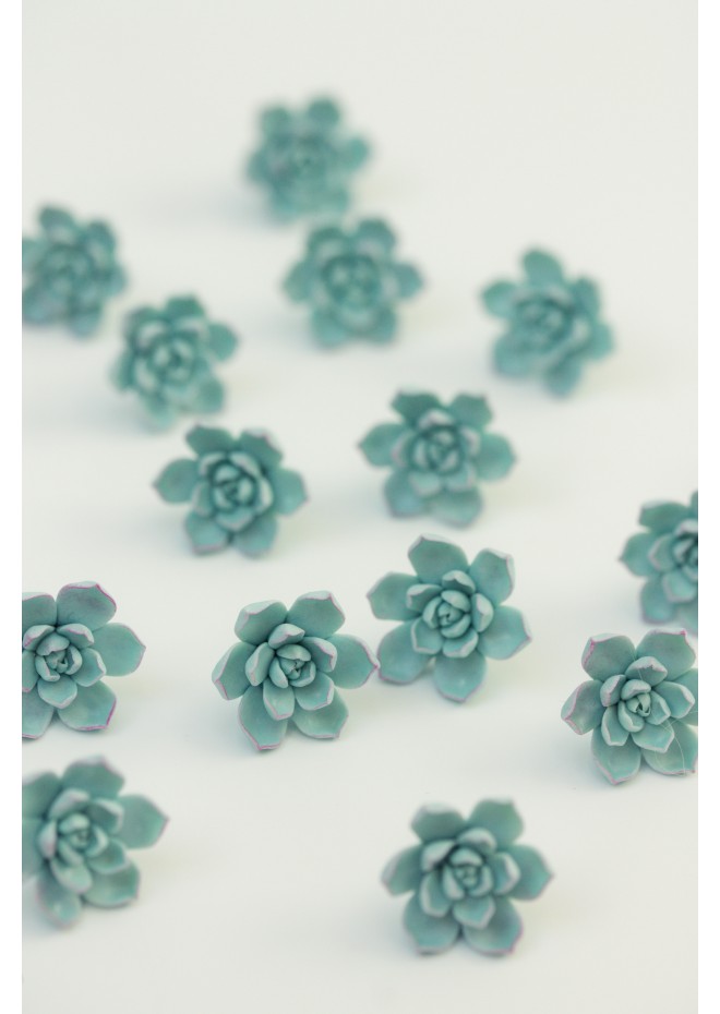 Blue Succulent Earrings – Handmade Polymer Clay Studs & Clip-ons