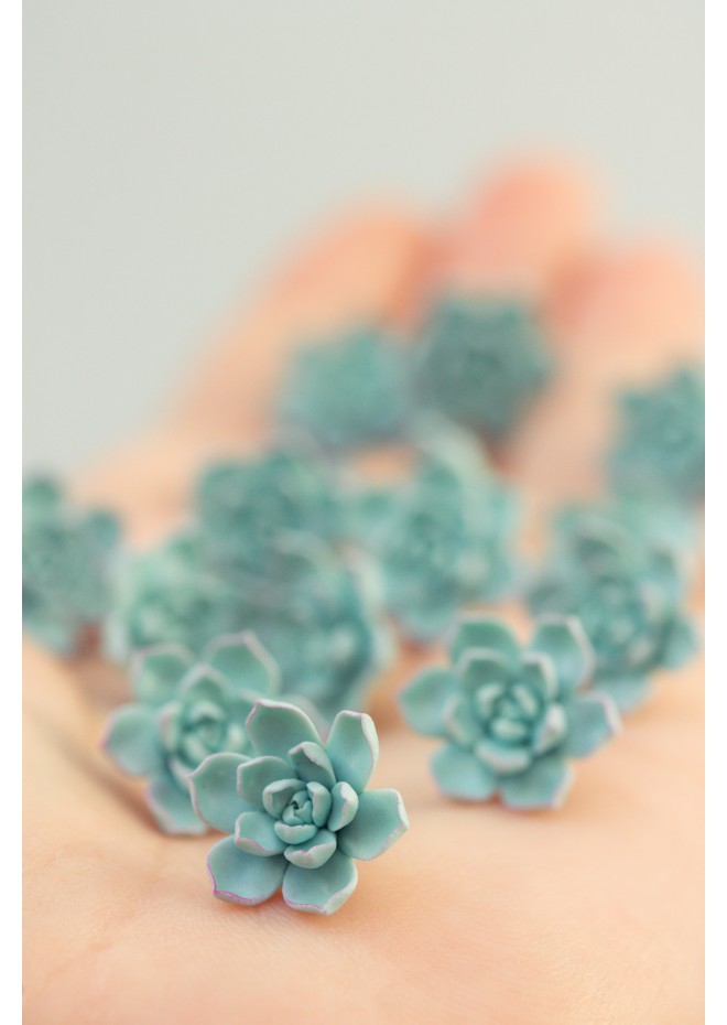 Blue Succulent Earrings – Handmade Polymer Clay Studs & Clip-ons