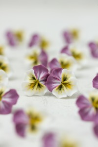 Handmade Pansy Flower Earrings – Lightweight & Hypoallergenic