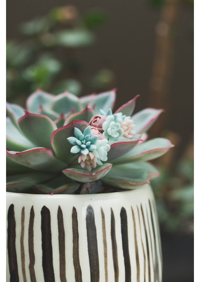 Succulent Bouquet Earrings – Handmade in Pastel Clay