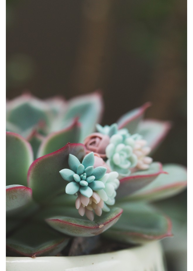 Succulent Bouquet Earrings – Handmade in Pastel Clay