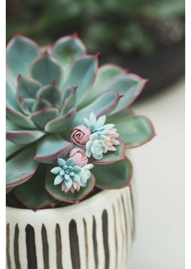 Succulent Bouquet Earrings – Handmade in Pastel Clay