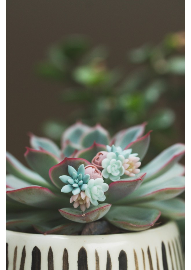 Succulent Bouquet Earrings – Handmade in Pastel Clay