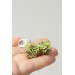 Green Succulent Polymer Clay Earrings