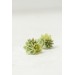 Succulent Bouquet Earrings | Green Handmade Studs