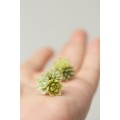 Succulent Bouquet Earrings | Green Handmade Studs