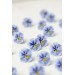 Blue  Pansy Stud Earrings | Handmade Hypoallergenic Flower Jewelry