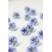 Blue  Pansy Stud Earrings | Handmade Hypoallergenic Flower Jewelry