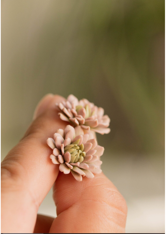 Custom Order for Diana – Handmade Polymer Clay Earrings