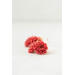 Coral Chrysanthemum Flower Hoop Earrings