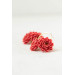 Coral Chrysanthemum Flower Hoop Earrings