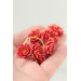 Coral Chrysanthemum Flower Hoop Earrings