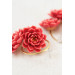 Coral Chrysanthemum Flower Hoop Earrings
