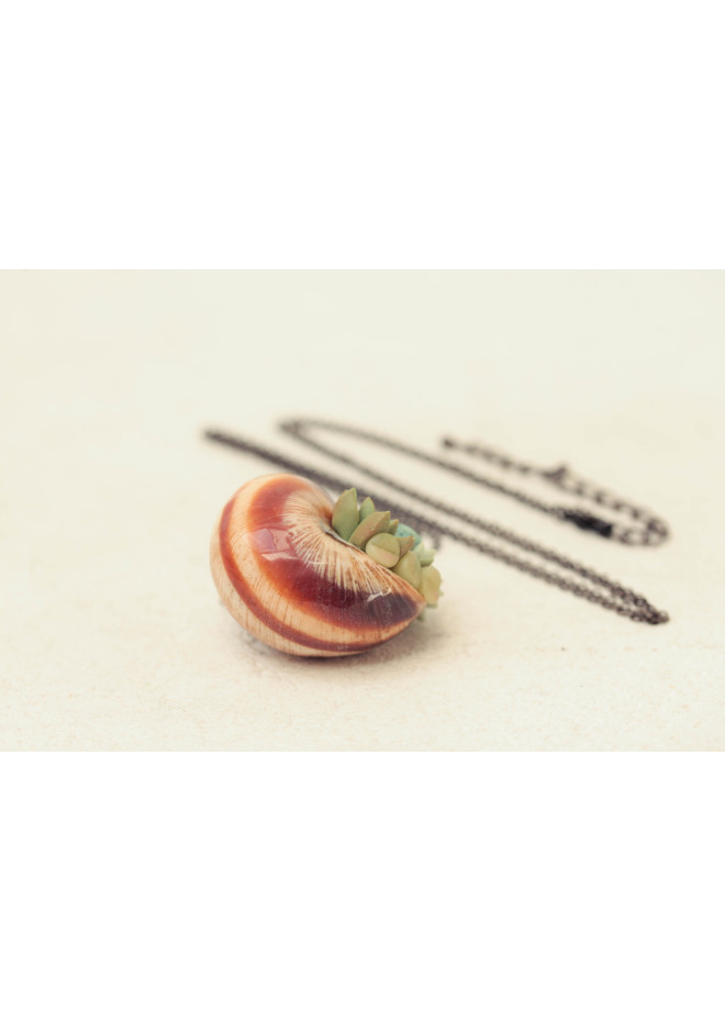 Succulent Shell Necklace – A One of a Kind Botanical Pendant