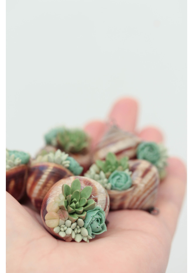 Succulent Shell Necklace – A One of a Kind Botanical Pendant