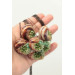 Succulent Shell Necklace – A One of a Kind Botanical Pendant