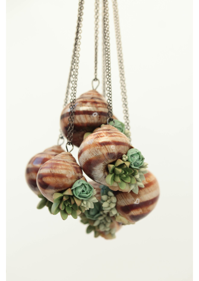 Succulent Shell Necklace – A One of a Kind Botanical Pendant