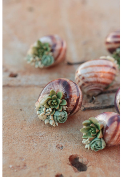 Succulent Shell Necklace – One of a Kind Botanical Jewelry