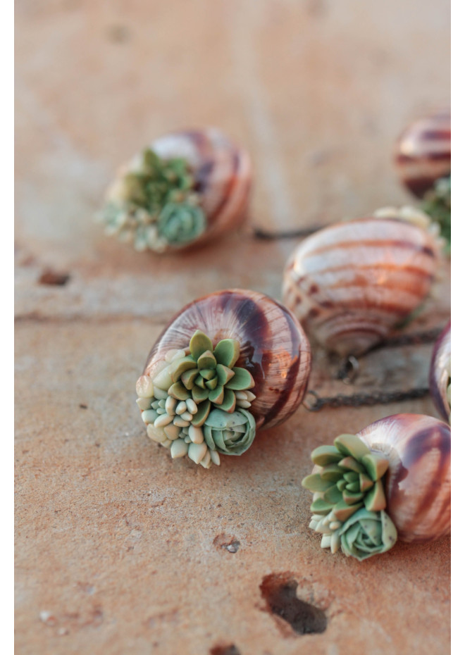 Succulent Shell Necklace – A One of a Kind Botanical Pendant