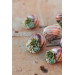 Succulent Shell Necklace – A One of a Kind Botanical Pendant