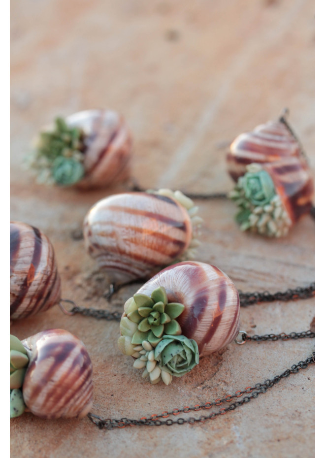 Succulent Shell Necklace – A One of a Kind Botanical Pendant