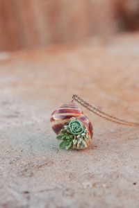 Succulent Shell Necklace – One of a Kind Botanical Jewelry