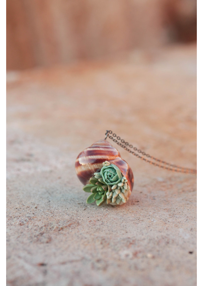 Succulent Shell Necklace – A One of a Kind Botanical Pendant