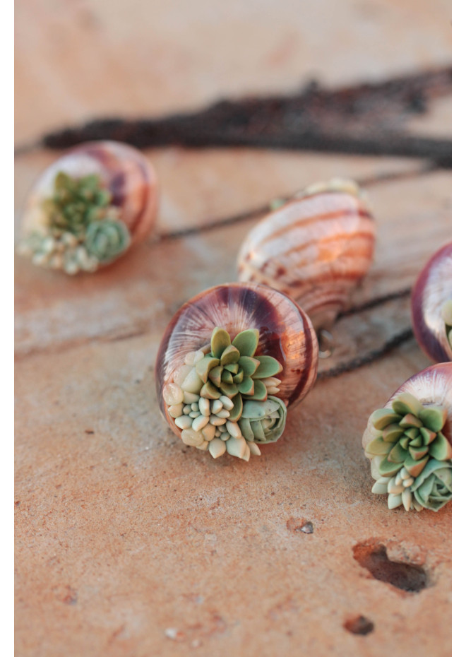 Succulent Shell Necklace – A One of a Kind Botanical Pendant