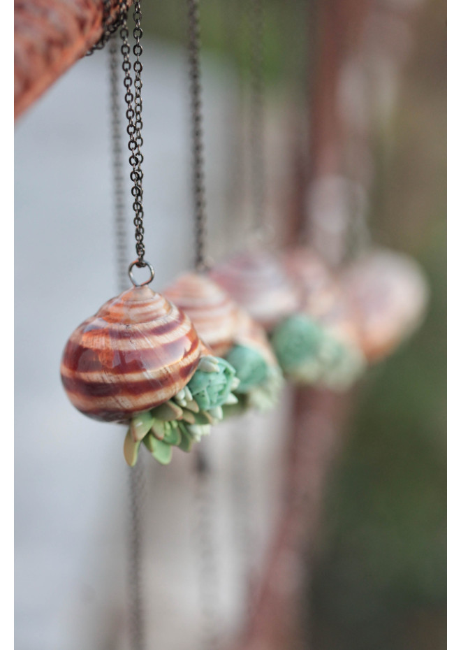 Succulent Shell Necklace – A One of a Kind Botanical Pendant