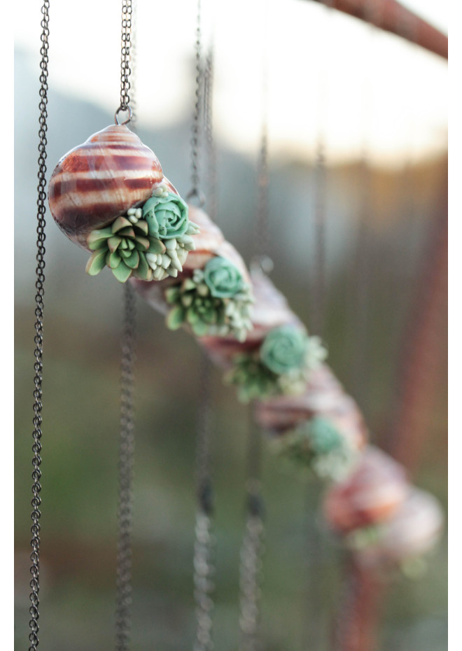 Succulent Shell Necklace – A One of a Kind Botanical Pendant