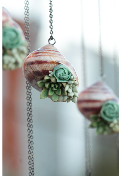 Succulent Shell Necklace – One of a Kind Botanical Jewelry