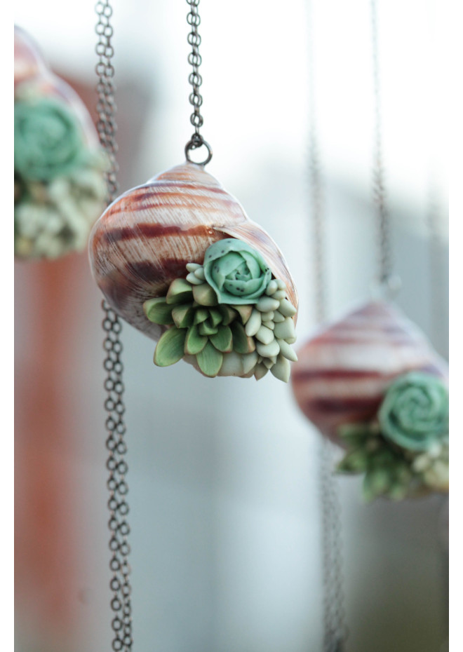 Succulent Shell Necklace – A One of a Kind Botanical Pendant