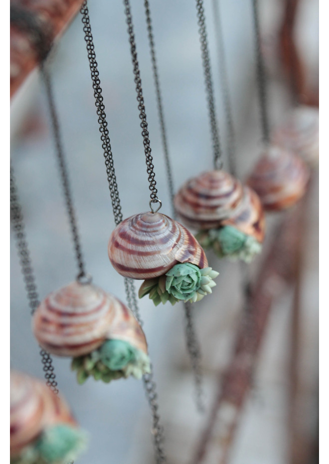 Succulent Shell Necklace – A One of a Kind Botanical Pendant