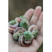 Succulent Shell Necklace – A One of a Kind Botanical Pendant