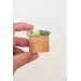 Handmade Wooden Ring Box with Succulent Decor – Unique Ash Wood Jewelry Box