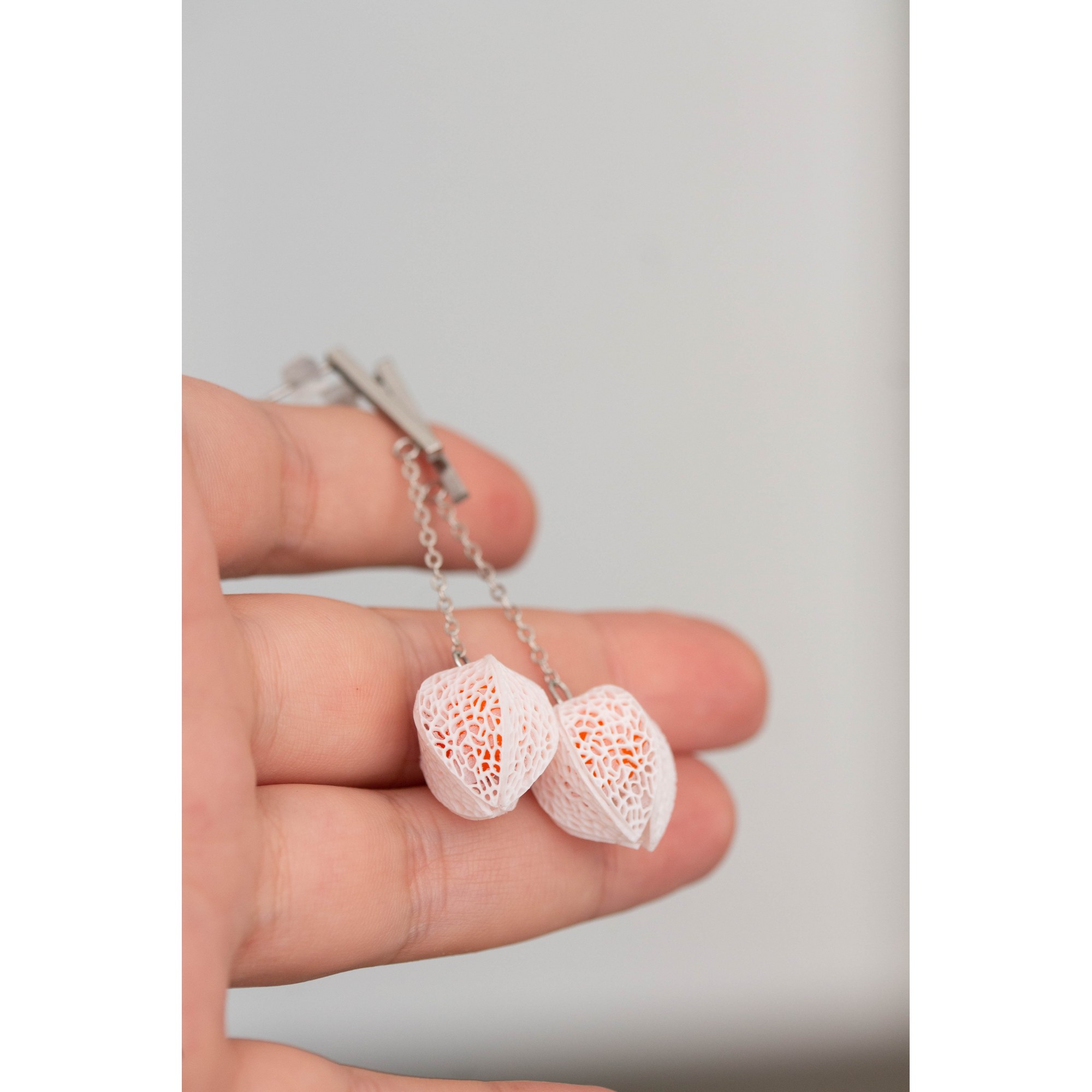 Physalis earrings, Plants Flowers earrings made from polymer clay