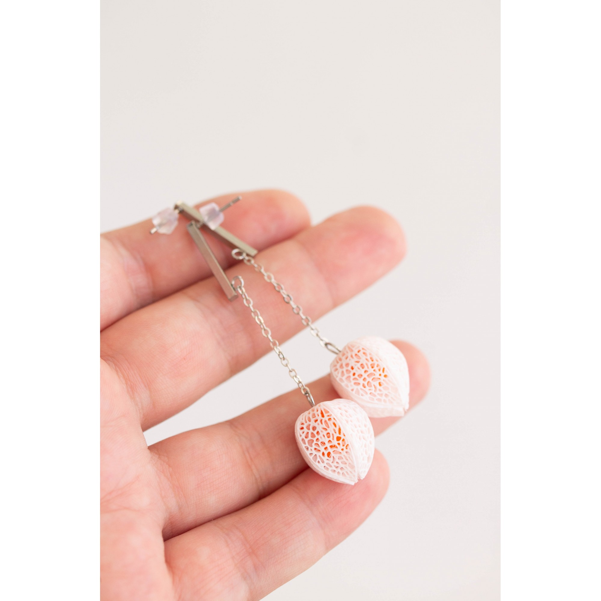 Physalis earrings, Plants Flowers earrings made from polymer clay