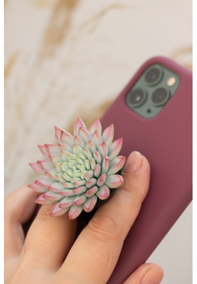 Purple Blue Succulent Phone Grip Holder Beautiful Mobile Grip