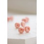 Light Pink Ranunculus Studs Light Pink Ranunculus Studs