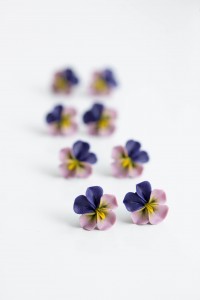 Pansy Clip-on Earrings